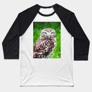 Pygmy Owl Baseball T-Shirt